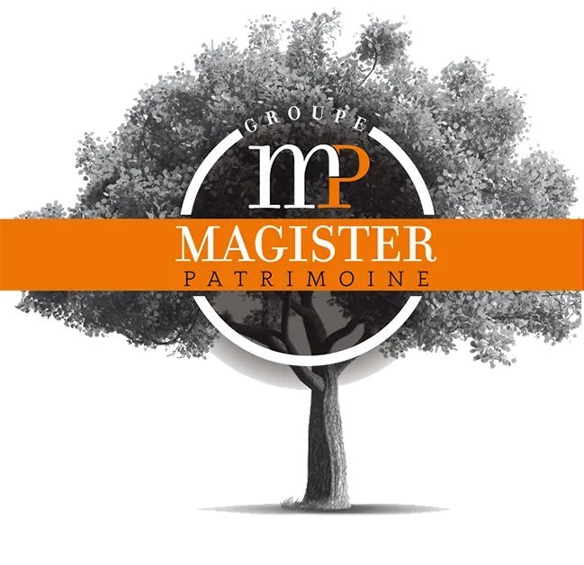 Illustration logo plaqjuette MAgister Patrimoine